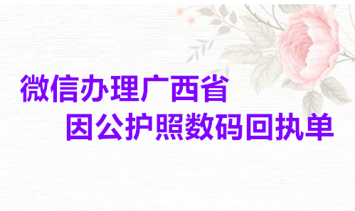 微信办理广西省因公护照数码回执单