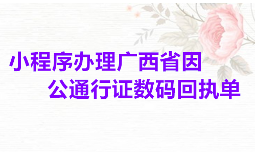 小程序办理广西省因公通行证数码回执单