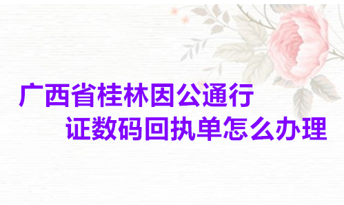 广西省桂林因公通行证数码回执单怎么办理