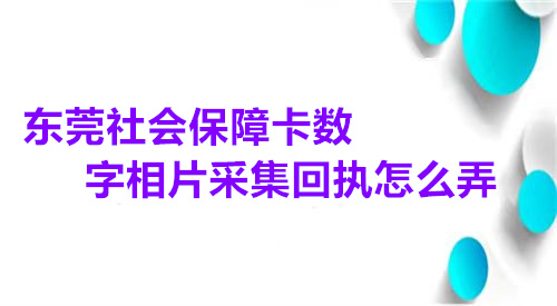 东莞社会保障卡数字相片采集回执怎么弄