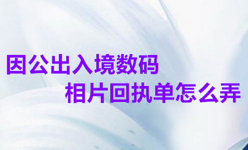 因公出入境数码相片回执单怎么弄