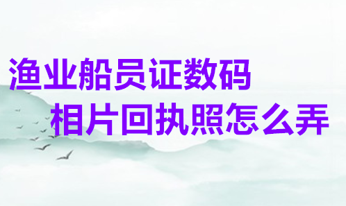 渔业船员证数码相片回执照怎么弄