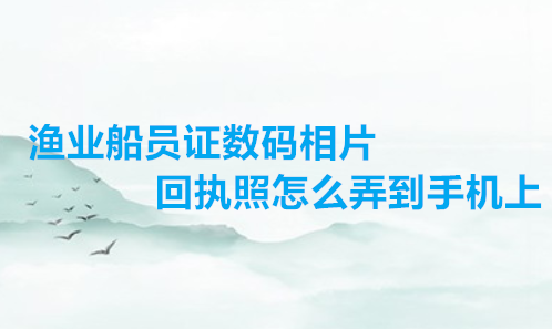 渔业船员证数码相片回执照怎么弄到手机上